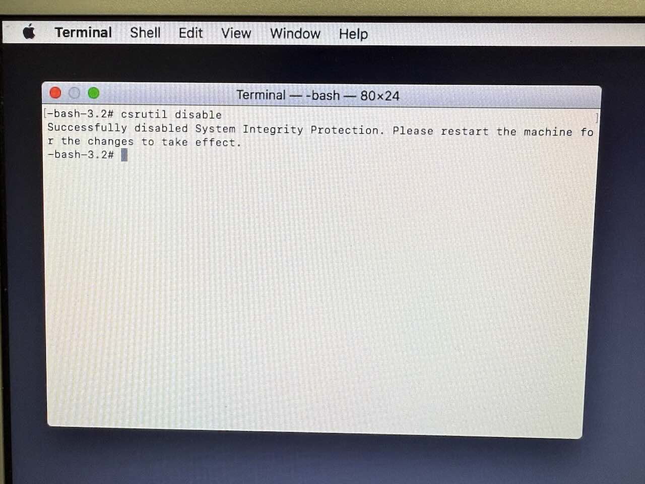 Terminal showing Successfully disabled System Integrity Protection